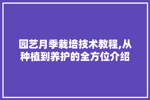 园艺月季栽培技术教程,从种植到养护的全方位介绍