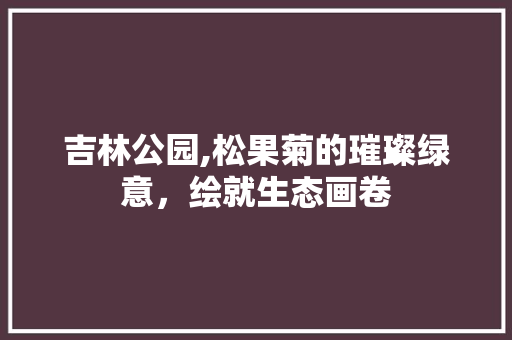 吉林公园,松果菊的璀璨绿意，绘就生态画卷