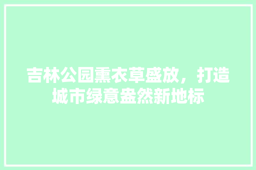 吉林公园熏衣草盛放，打造城市绿意盎然新地标