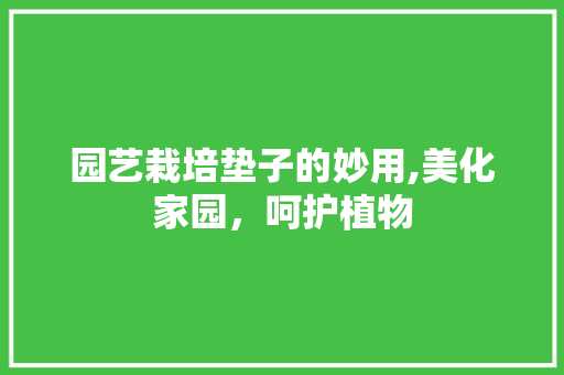 园艺栽培垫子的妙用,美化家园，呵护植物