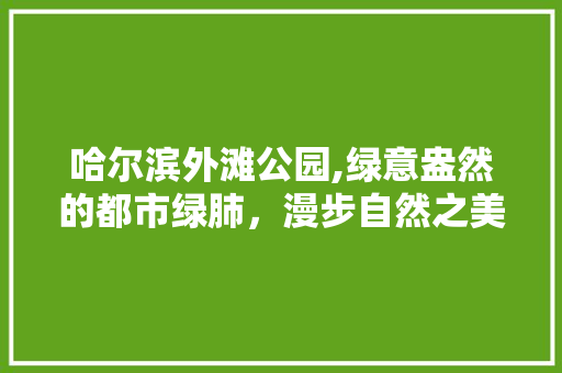 哈尔滨外滩公园,绿意盎然的都市绿肺，漫步自然之美