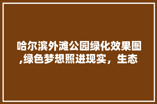 哈尔滨外滩公园绿化效果图,绿色梦想照进现实，生态宜居新地标
