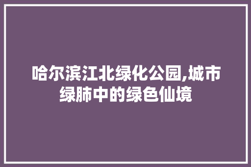 哈尔滨江北绿化公园,城市绿肺中的绿色仙境