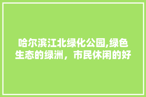 哈尔滨江北绿化公园,绿色生态的绿洲，市民休闲的好去处