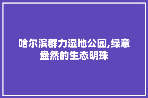 哈尔滨群力湿地公园,绿意盎然的生态明珠