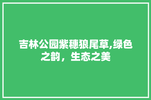 吉林公园紫穗狼尾草,绿色之韵，生态之美