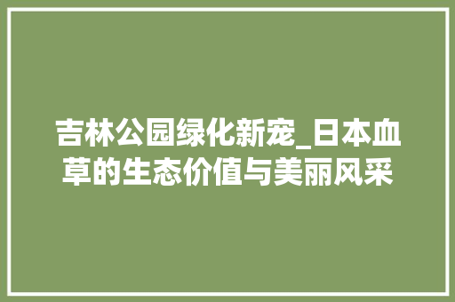 吉林公园绿化新宠_日本血草的生态价值与美丽风采