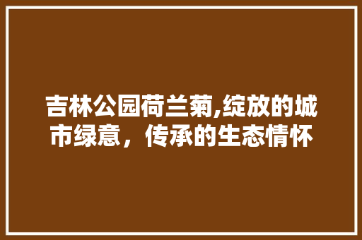 吉林公园荷兰菊,绽放的城市绿意，传承的生态情怀