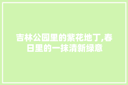吉林公园里的紫花地丁,春日里的一抹清新绿意