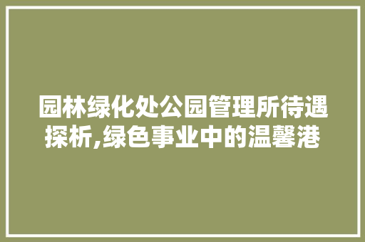 园林绿化处公园管理所待遇探析,绿色事业中的温馨港湾