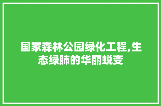 国家森林公园绿化工程,生态绿肺的华丽蜕变