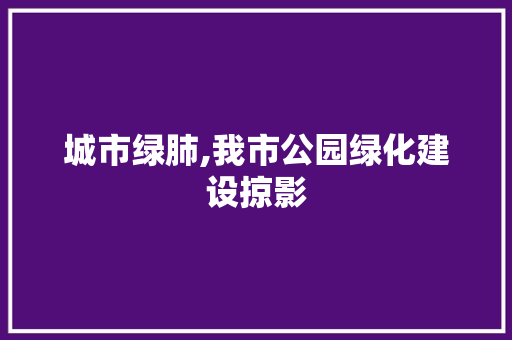城市绿肺,我市公园绿化建设掠影