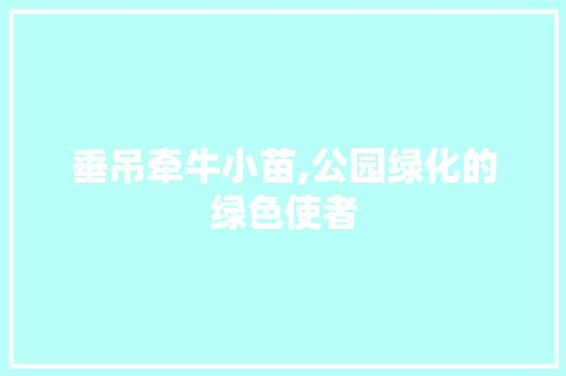 垂吊牵牛小苗,公园绿化的绿色使者