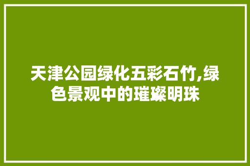天津公园绿化五彩石竹,绿色景观中的璀璨明珠