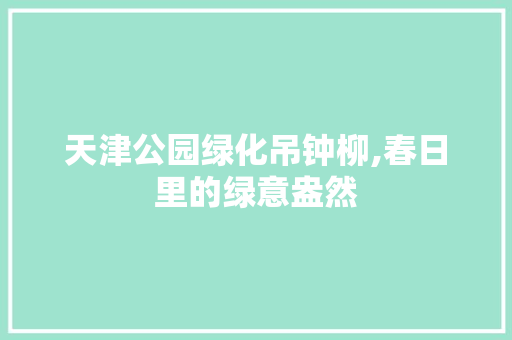 天津公园绿化吊钟柳,春日里的绿意盎然