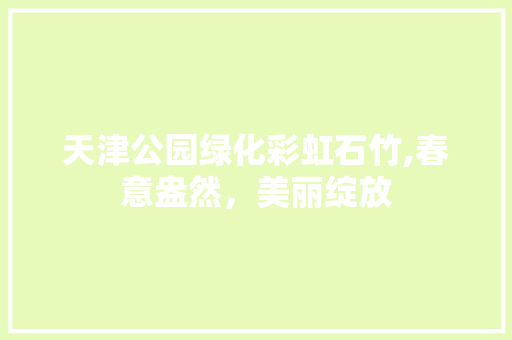天津公园绿化彩虹石竹,春意盎然，美丽绽放