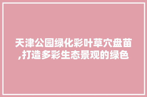 天津公园绿化彩叶草穴盘苗,打造多彩生态景观的绿色引擎