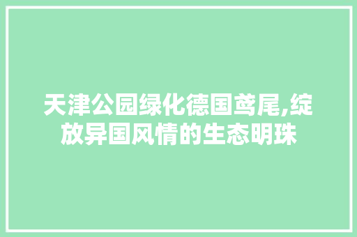天津公园绿化德国鸢尾,绽放异国风情的生态明珠