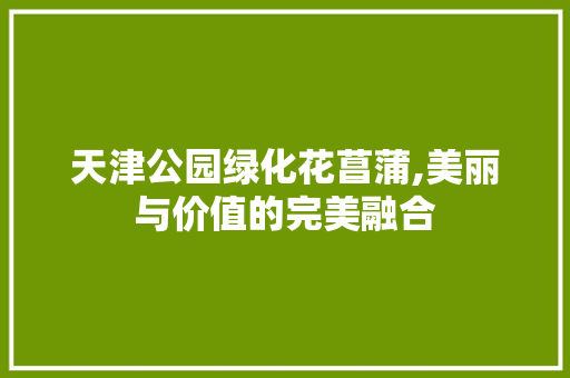 天津公园绿化花菖蒲,美丽与价值的完美融合