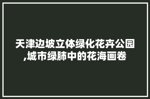 天津边坡立体绿化花卉公园,城市绿肺中的花海画卷