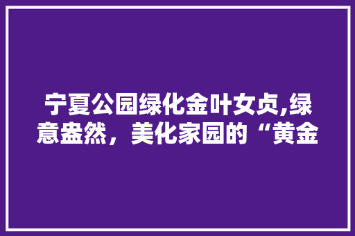 宁夏公园绿化金叶女贞,绿意盎然，美化家园的“黄金搭档”