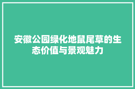 安徽公园绿化地鼠尾草的生态价值与景观魅力 果木品种介绍