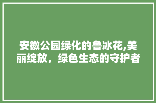 安徽公园绿化的鲁冰花,美丽绽放，绿色生态的守护者