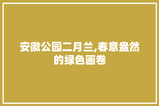 安徽公园二月兰,春意盎然的绿色画卷