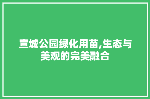 宣城公园绿化用苗,生态与美观的完美融合
