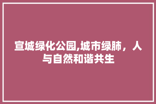 宣城绿化公园,城市绿肺，人与自然和谐共生