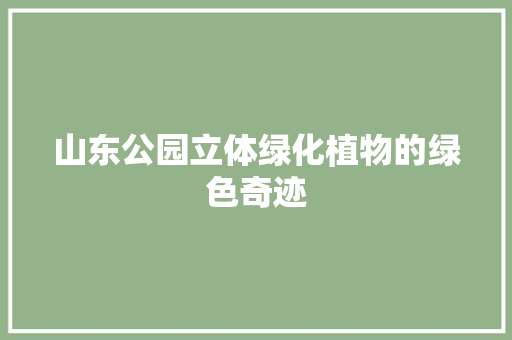 山东公园立体绿化植物的绿色奇迹