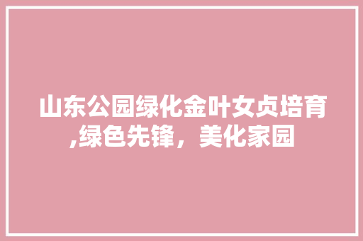 山东公园绿化金叶女贞培育,绿色先锋，美化家园