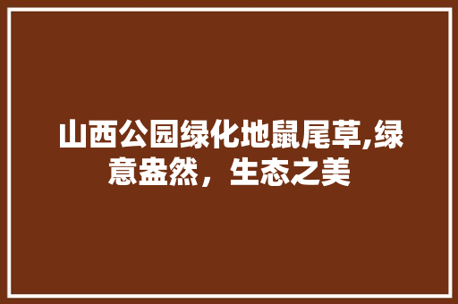 山西公园绿化地鼠尾草,绿意盎然，生态之美
