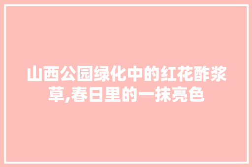 山西公园绿化中的红花酢浆草,春日里的一抹亮色