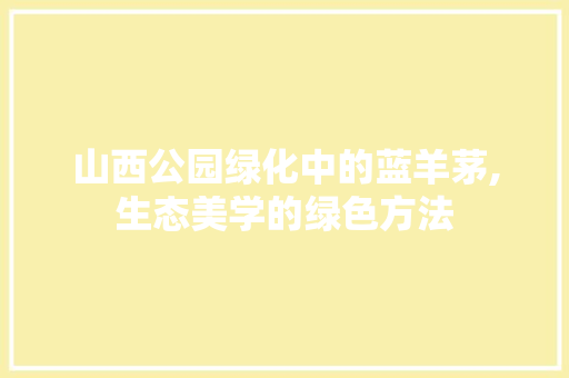 山西公园绿化中的蓝羊茅,生态美学的绿色方法