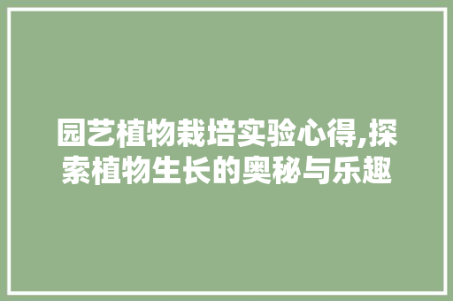 园艺植物栽培实验心得,探索植物生长的奥秘与乐趣
