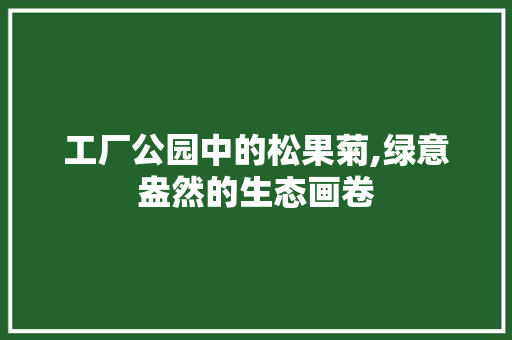 工厂公园中的松果菊,绿意盎然的生态画卷