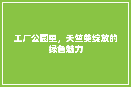 工厂公园里，天竺葵绽放的绿色魅力 修剪方法