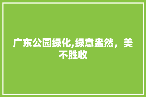 广东公园绿化,绿意盎然，美不胜收
