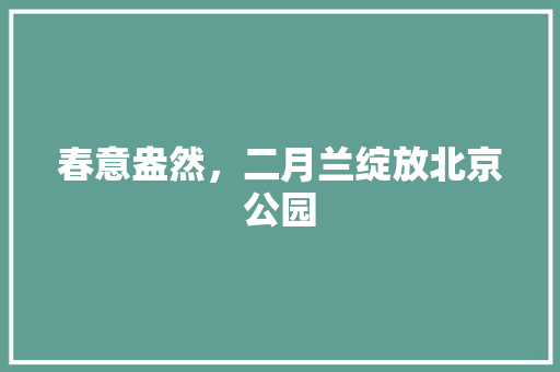 春意盎然，二月兰绽放北京公园