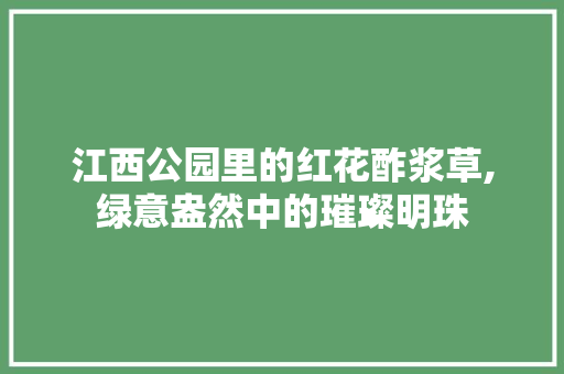 江西公园里的红花酢浆草,绿意盎然中的璀璨明珠