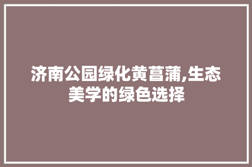 济南公园绿化黄菖蒲,生态美学的绿色选择