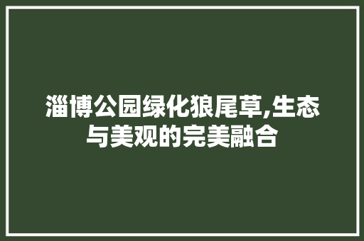 淄博公园绿化狼尾草,生态与美观的完美融合