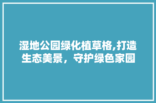 湿地公园绿化植草格,打造生态美景，守护绿色家园