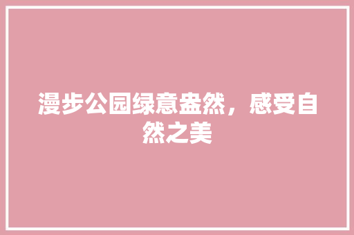 漫步公园绿意盎然，感受自然之美