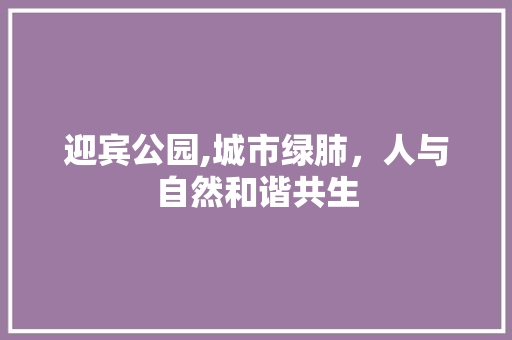 迎宾公园,城市绿肺，人与自然和谐共生