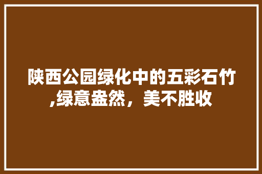 陕西公园绿化中的五彩石竹,绿意盎然，美不胜收
