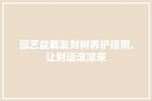 园艺盆栽发财树养护指南,让财运滚滚来