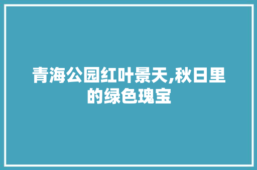 青海公园红叶景天,秋日里的绿色瑰宝