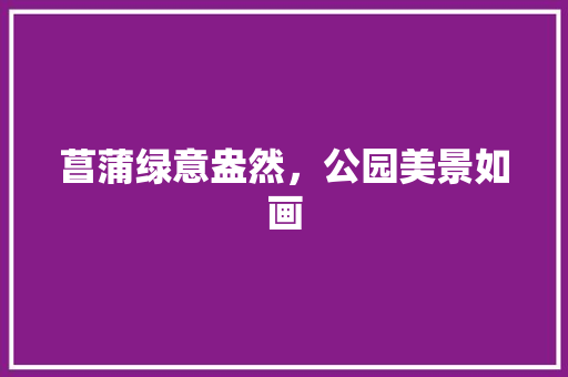 菖蒲绿意盎然，公园美景如画